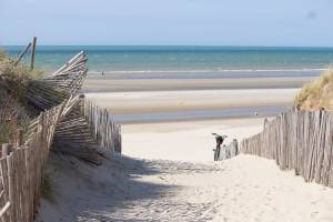 Ludovic VUYE - L V Drone et Production